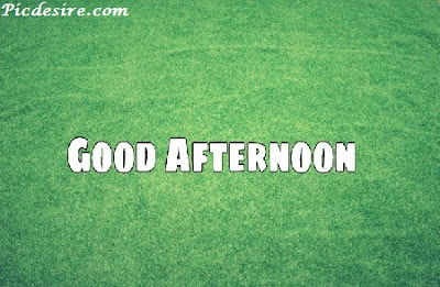 Best 50 Good Afternoon Images 2020 || Good Afternoon Images for Whatsapp Best 50 Good Afternoon Images 2020 || Good Afternoon Images for Whatsapp