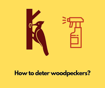 How to deter woodpeckers? How to deter woodpeckers?