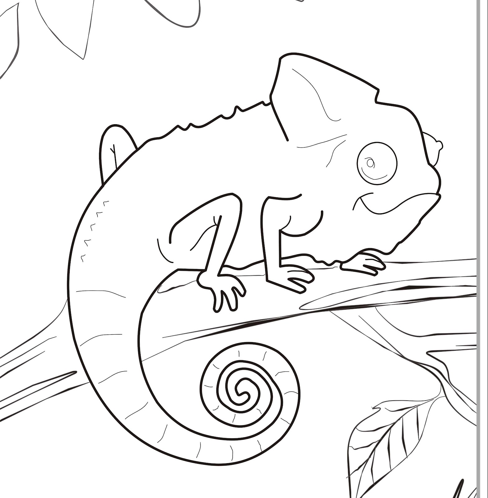 chameleon coloring pages to printable