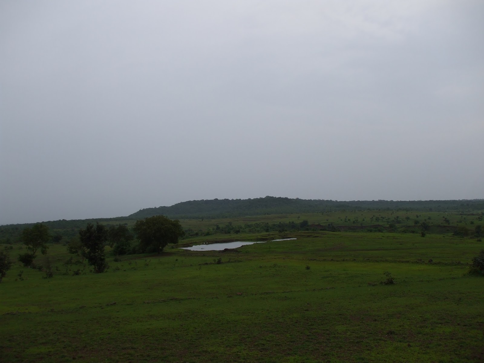 Agricultural land for sale in vikarabad Surrounded beautiful