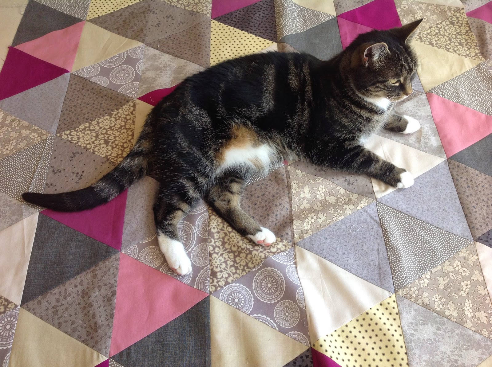 Equilateral Triangle Quilt with Suzi the cat
