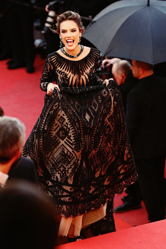 Red Carpet Glamour: Cannes Film Festival