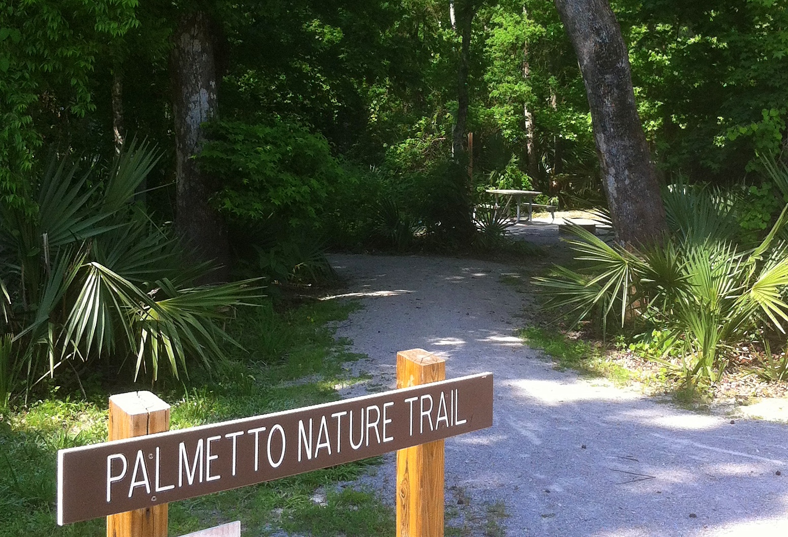 The Gypsy Boho Freedom Express PALMETTO ISLAND STATE PARK ABBEVILLE, LA