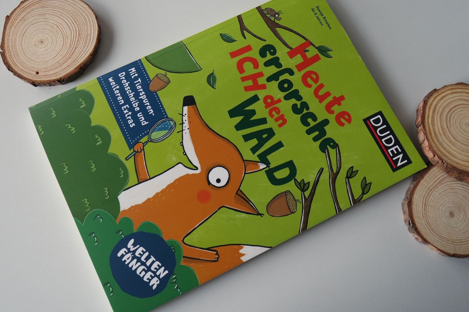 Die Wahre Szene 2017