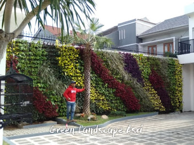 Jasa Pembuatan Vertical Garden dan Harga Pasang Terbaru di Wonosobo