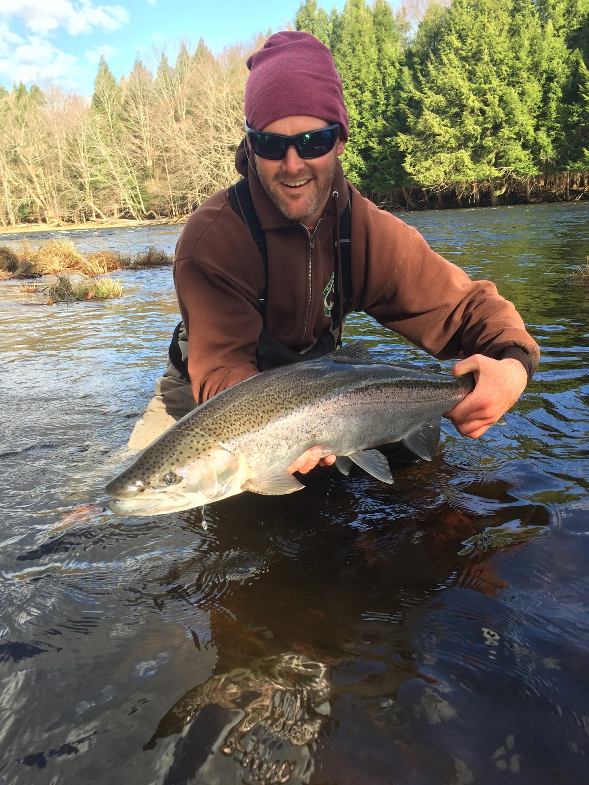 Boston Fly Fishing and Report Steelhead fishing in Pulaski, NY and