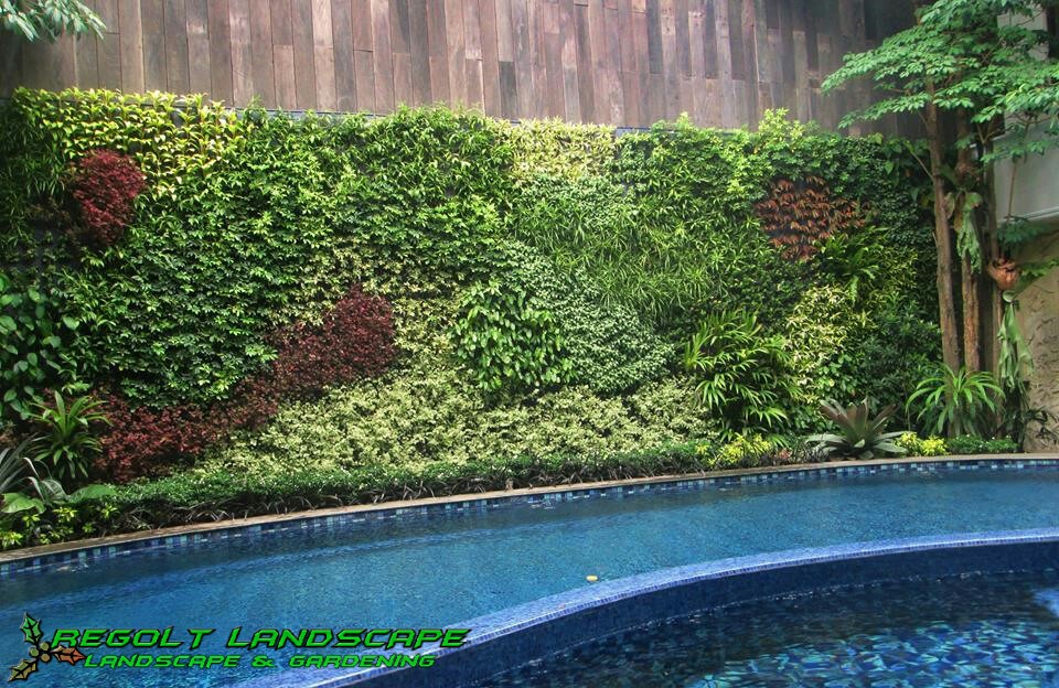 Regolt Landscape Jasa Taman Profesional Contoh Gambar