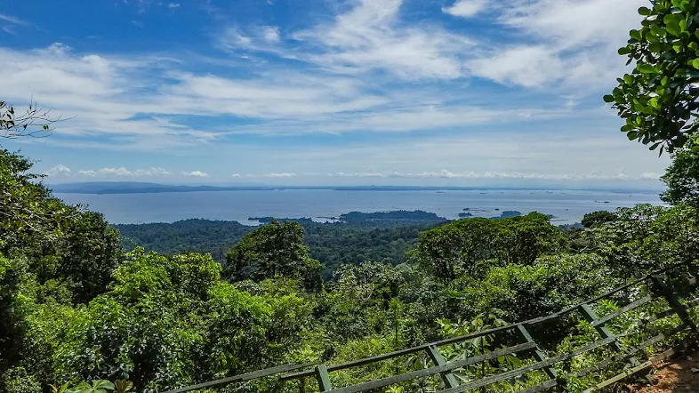 Waduk Brokopondo dikelilingi oleh hutan hujan tropis.