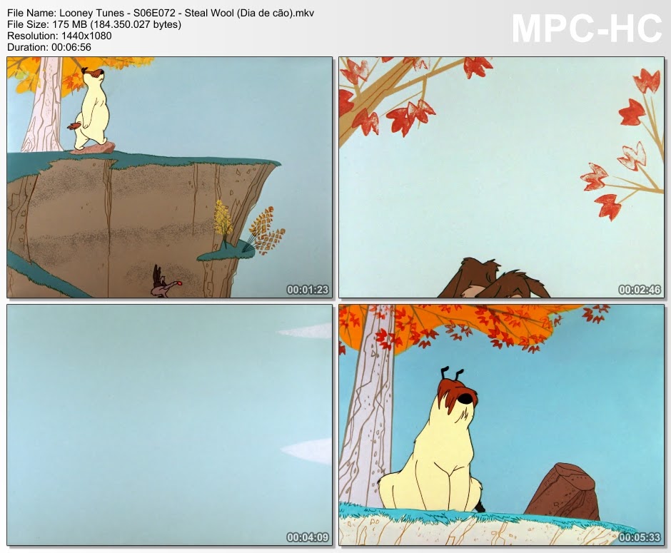 LOONEY TUNES / MERRIE MELODIES - EDIÇÃO DE COLECIONADOR (SÉRIE PARA TV / COLETÂNEA / DUAL OU MULTI ÁUDIO) – 1929-2014 6