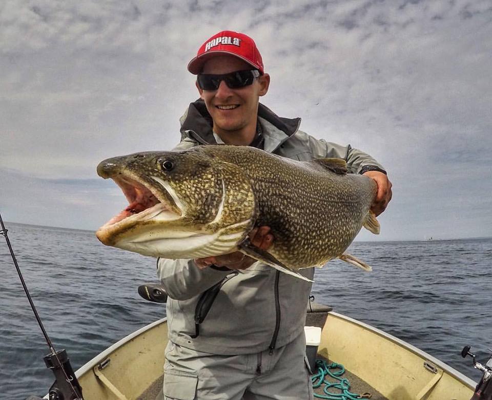 Lake Ontario Lake Trout