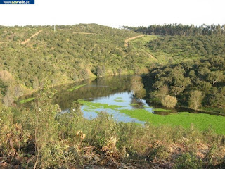 DAM, FISH / Ribeira de Nisa (Racheiro), Zonas de Pesca, Castelo de Vide, Portugal