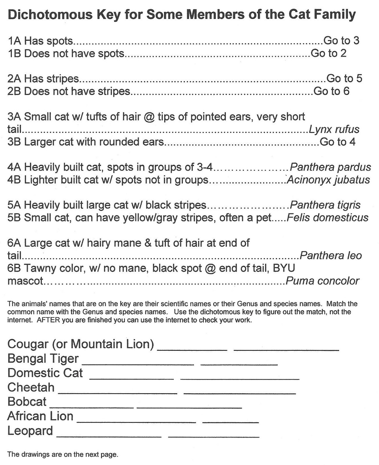 Robin's Great Coloring Pages Dichotomous Key for Some Members of the