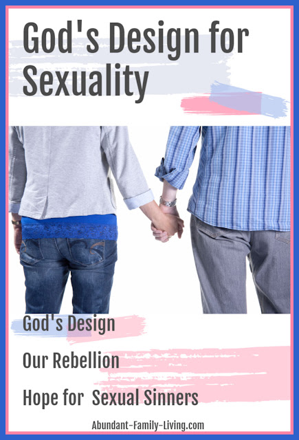 God's Design for Sexuality 