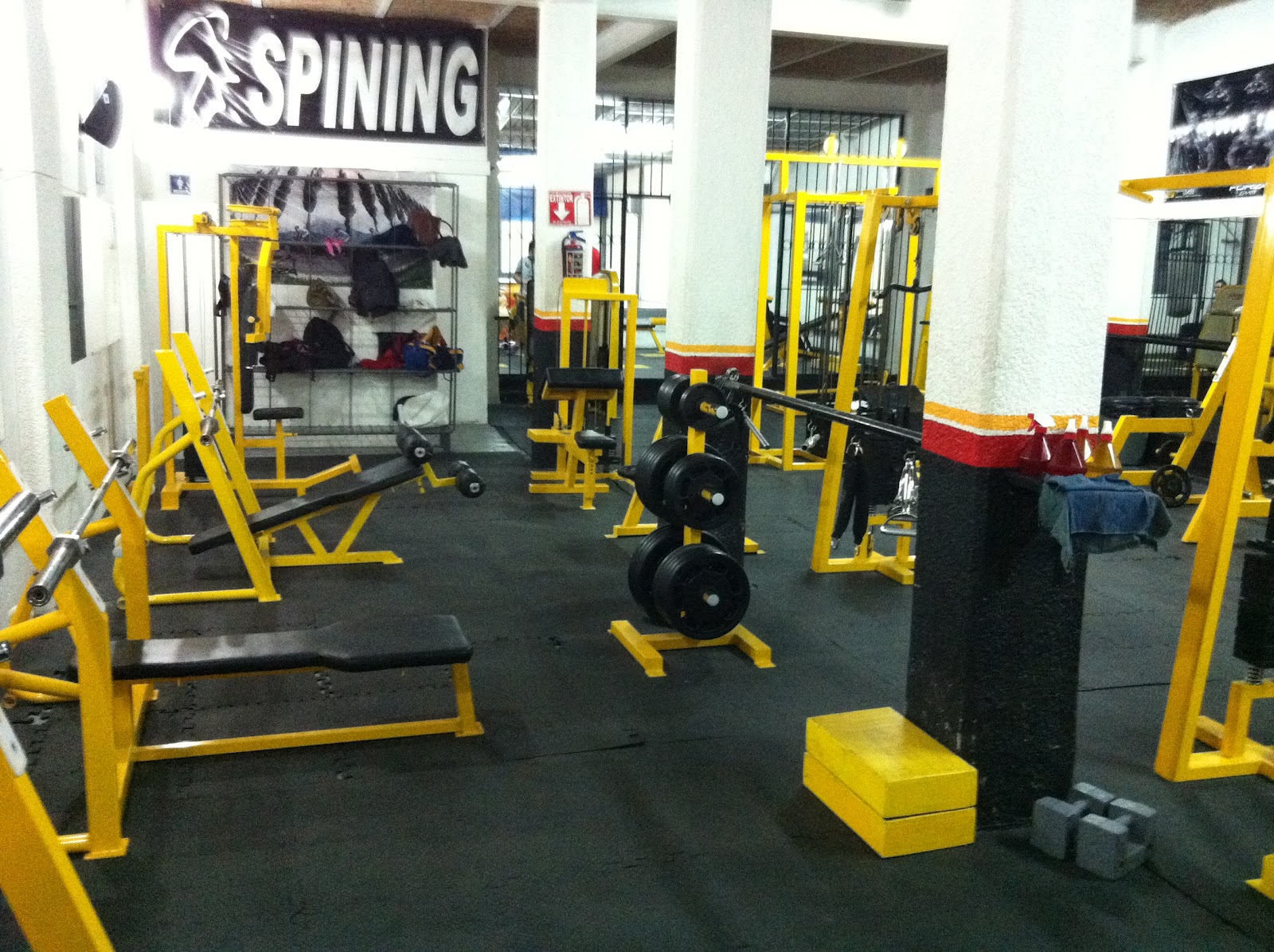 Forza Gym Guadalajara