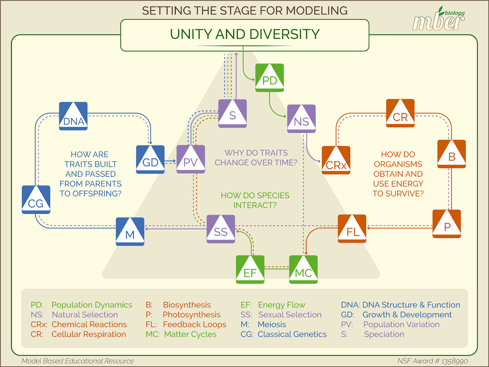 MODEL BASED BIOLOGY STUDENTS MAKING SENSE OF BIOLOGICAL PHENOMENA