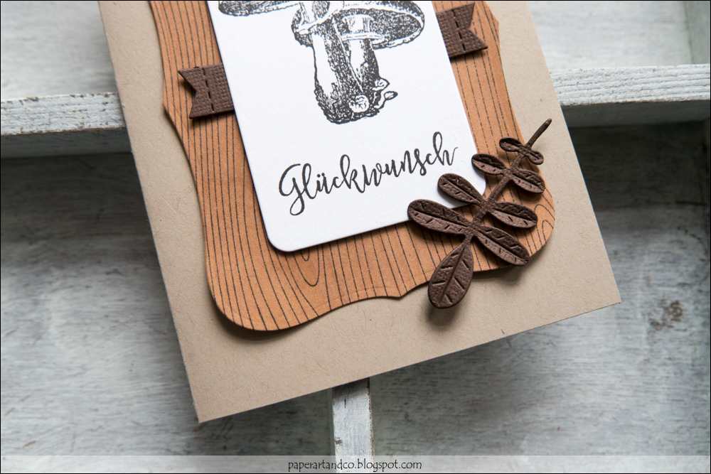 Hugsweet Pilzzuchtzelt - Stillluftbox Für Erfolgreiche Pilzzucht Zu Hause