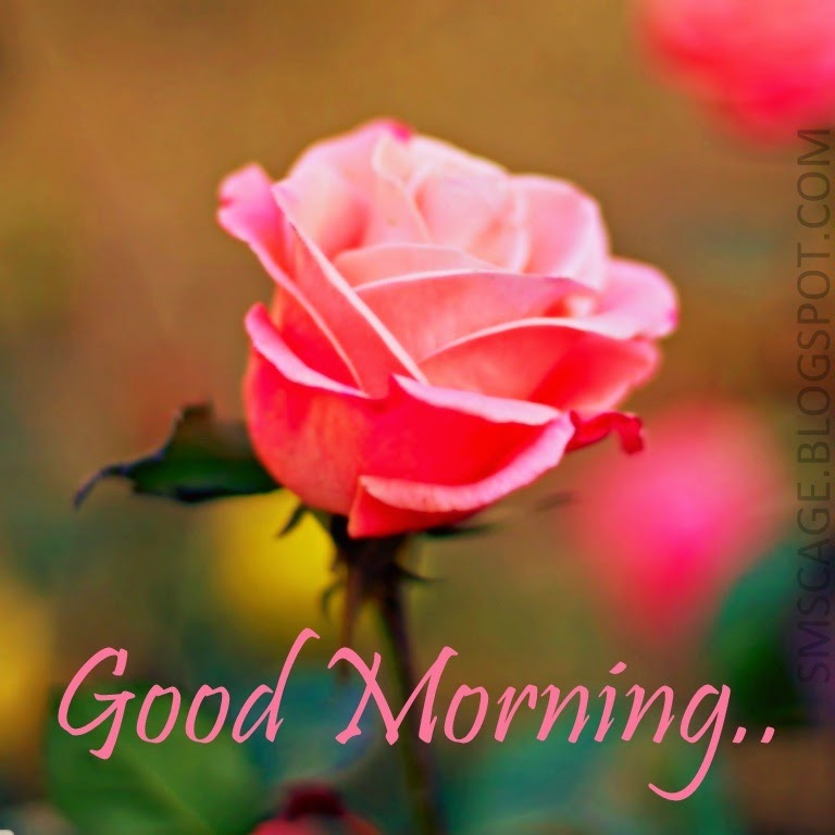 Romantic Good Morning SMS In Hindi | SMS Cage