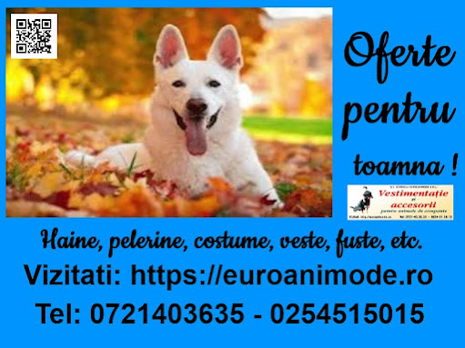 Ofertele pentru toamna