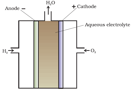 Fuel Cell - electrochemistry class 12 important questions