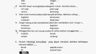 Serangkaian Gambar Yang Mengandung Narasi Adalah Literatur Serangkaian Gambar Yang Mengandung Narasi Adalah Literatur
