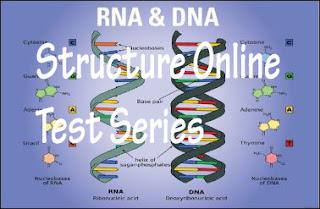 DNA and RNA Structure Online Test Series 