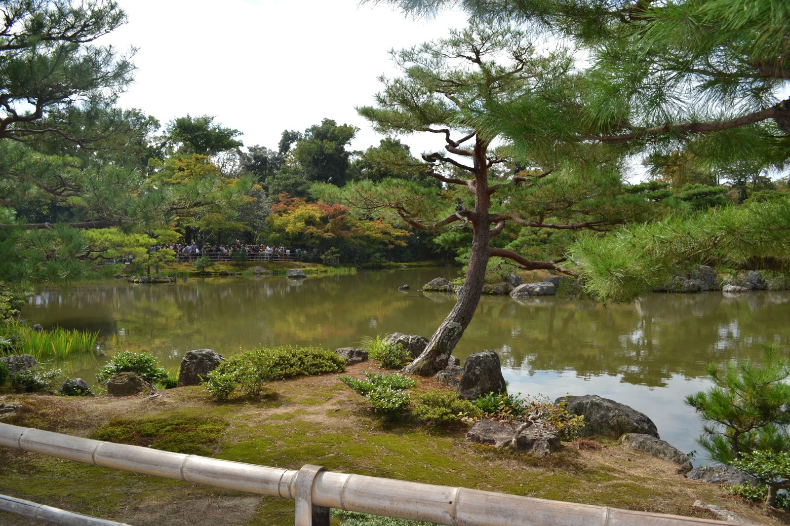 best koi pond kyoto shinnyodo temple pond