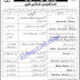 Jobs In University Of Wah | Pof Jobs Nov 2020