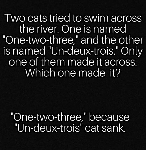 The View From Lady Lake What Happens When We Disarm Ourselves