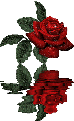 Rose Day GIF Images for Love