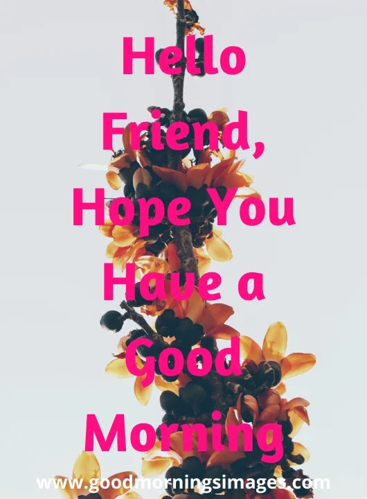 Good Morning Images and quotes for Friday Good Morning Images and quotes for Friday