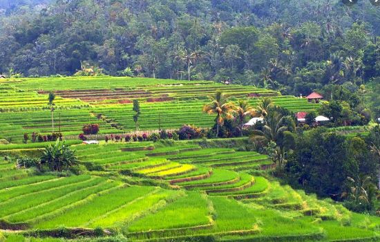 Membedakan Wilayah Formal Dan Wilayah Fungsional Terlengkap