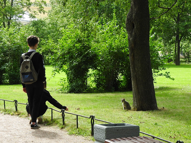 котик и люди