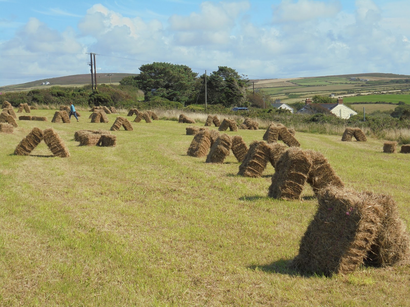 Bosavern Community Farm Hay