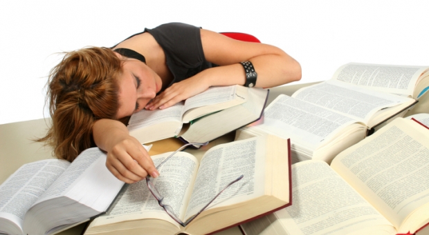 politics essay sample japanese language