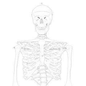 Skeleton coloring.filminspector.com