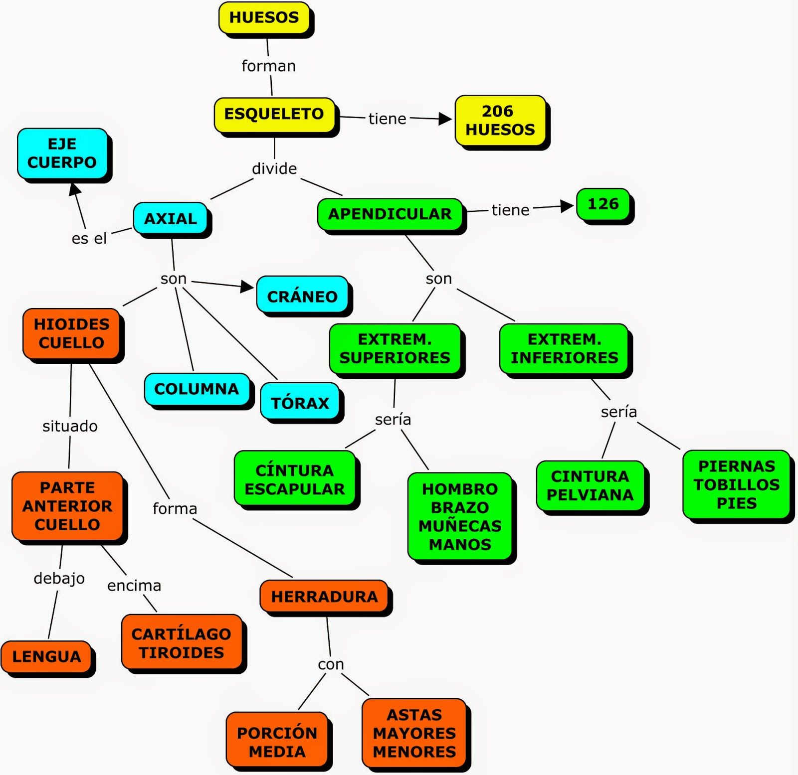 Mapa conceptual biología
