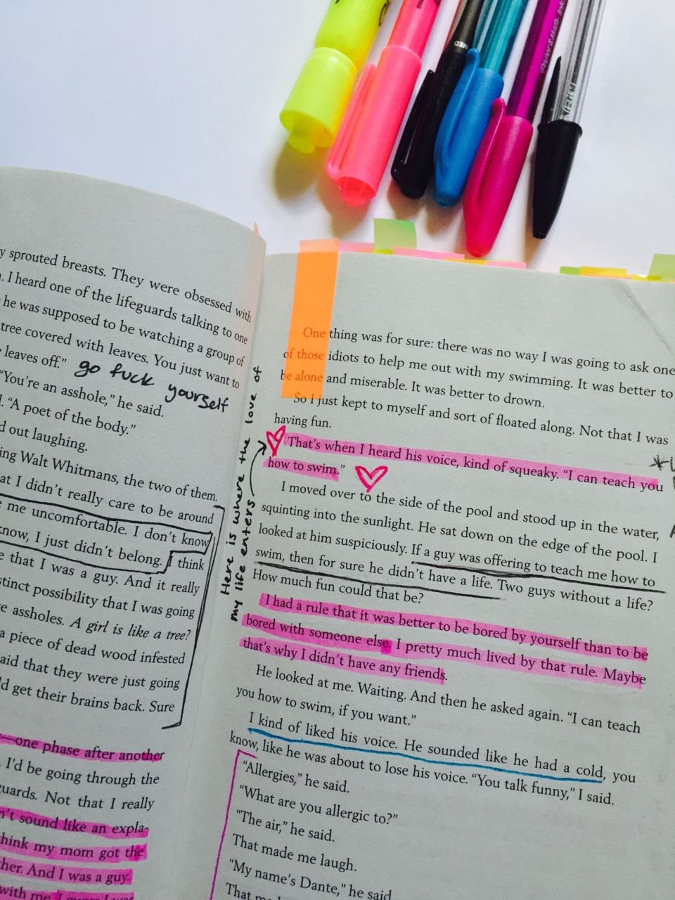 book annotations book annotations