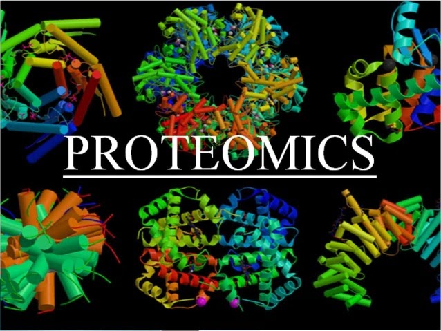 A Comprehensive Guide To Proteomics: The New Science Of Proteins.