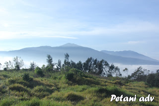 Puncak Sulibra Gunung Artapela Bandung || Petaniadv