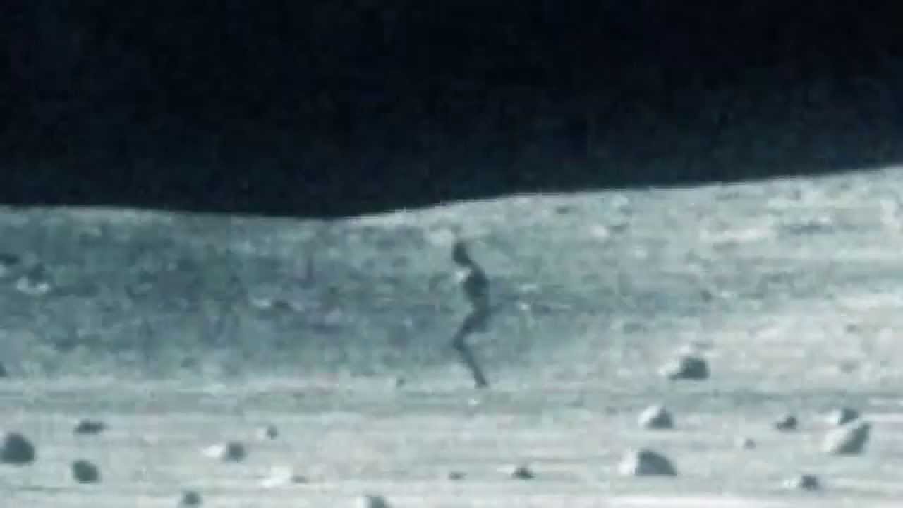 Нападение на лунный участок. Снимки пришельцев на Луне. Инопланетяне на Луне. НЛО на Луне. Снимки НЛО на Луне.