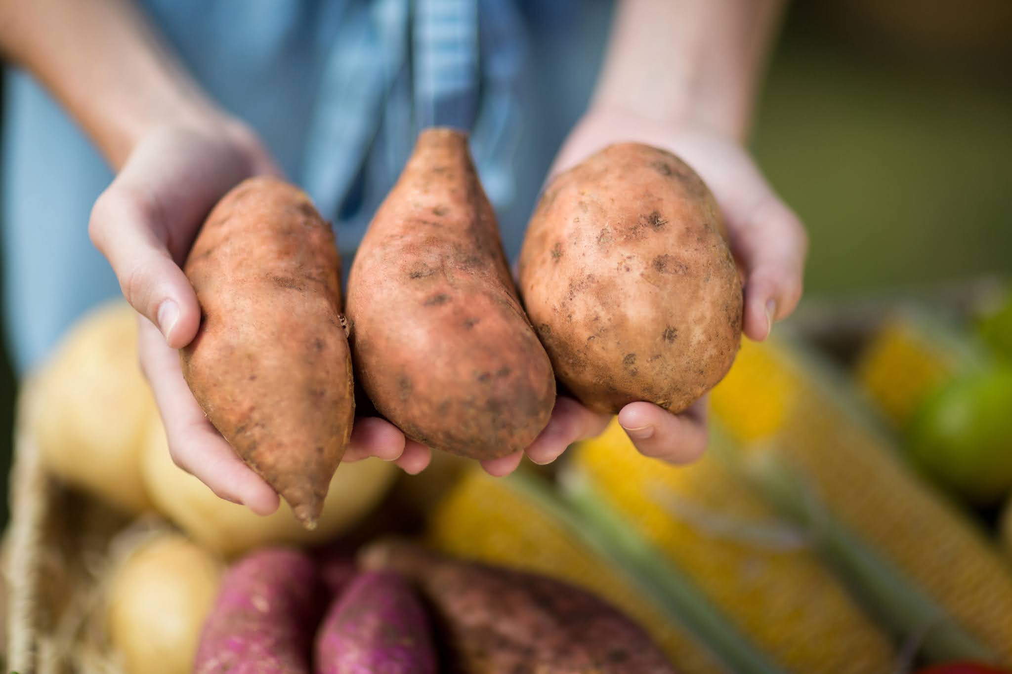 Батат или картофель. Картофель батат витамины. Чем полезен картофель для организма. Что полезного в картофеле.