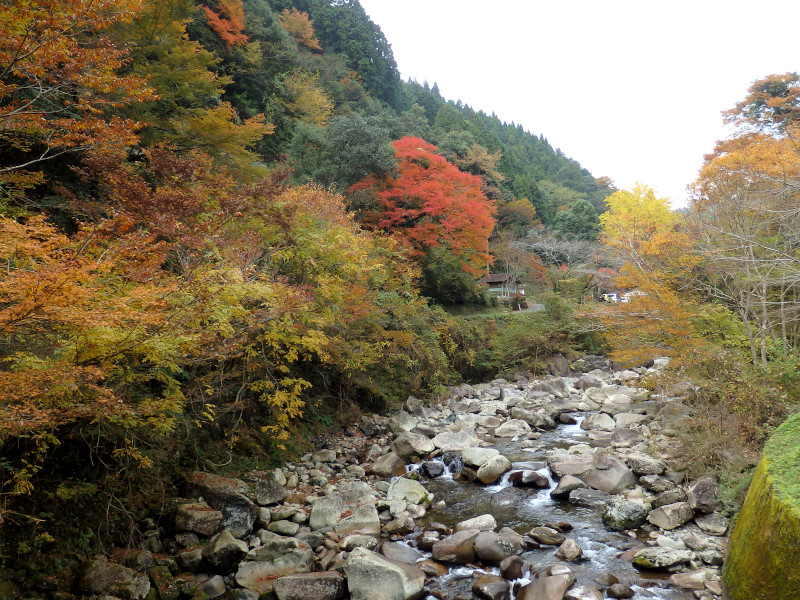 徒然おうどいろ日記 紅葉の木谷峡
