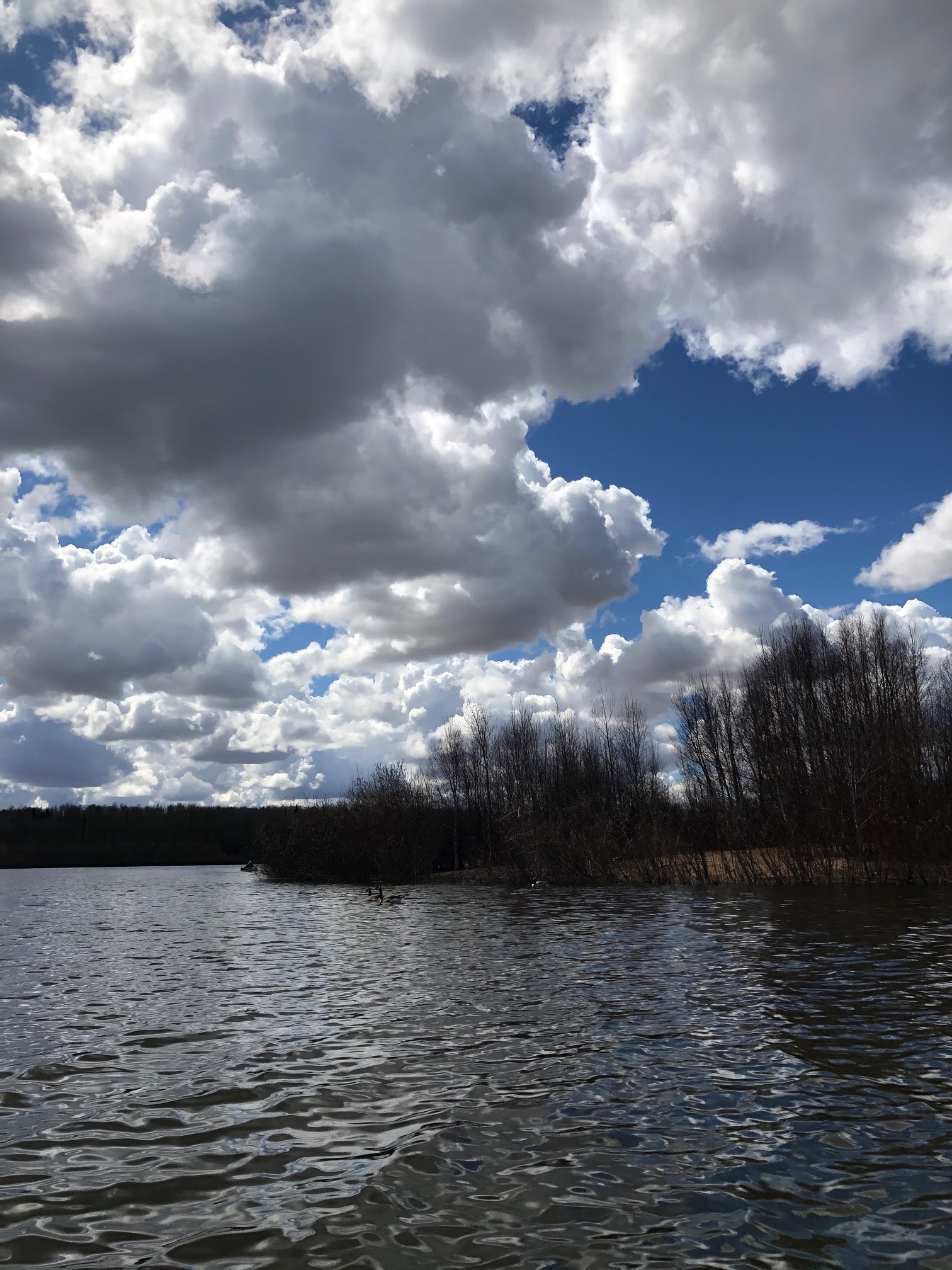 Canoeing Around Edmonton, Alberta, Canada Muir Lake