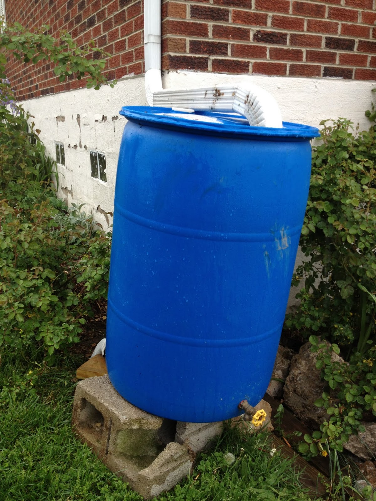 Our Adoption Adventure The Rain Barrel System