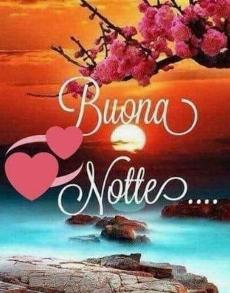 27 Good Night images in italian | Buonanotte images