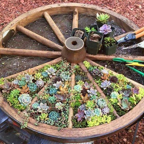 Garden Therapy: Easy Garden Projects!