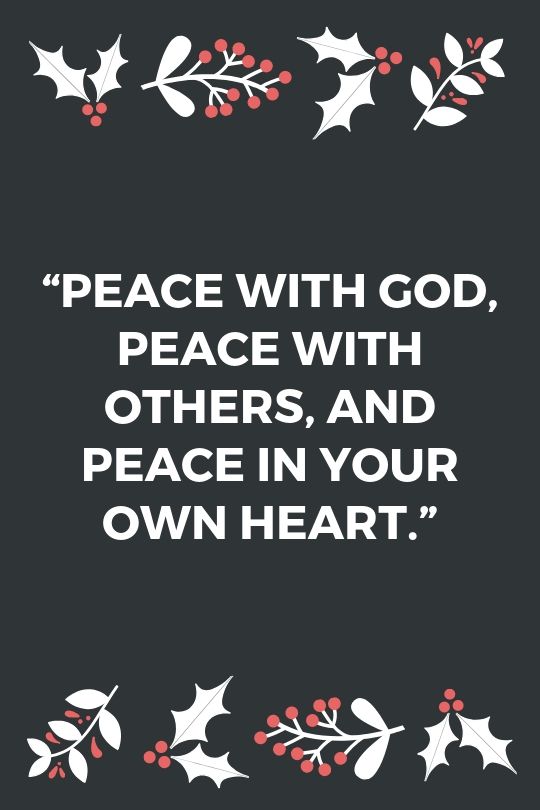 115 best merry christmas memes ideas and funny christmas images Ha Ha, finally the day has come which i was dreaming from past 2 months.