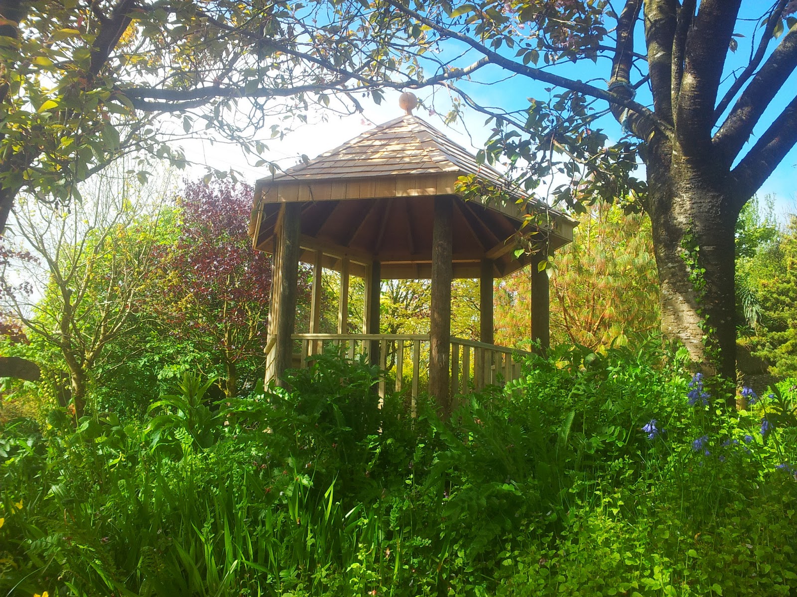 blood sweat and peas Fantastic Gardens to visit in Limerick