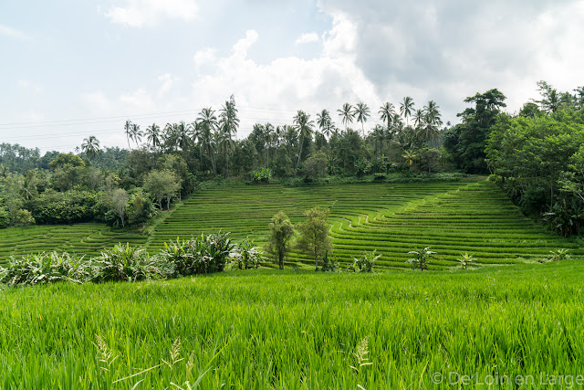 Route d’Antosari à Pemuteran - Bali