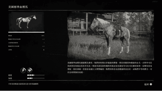 碧血狂殺 2 (Red Dead Redemption 2) 全種類馬匹圖鑑分享